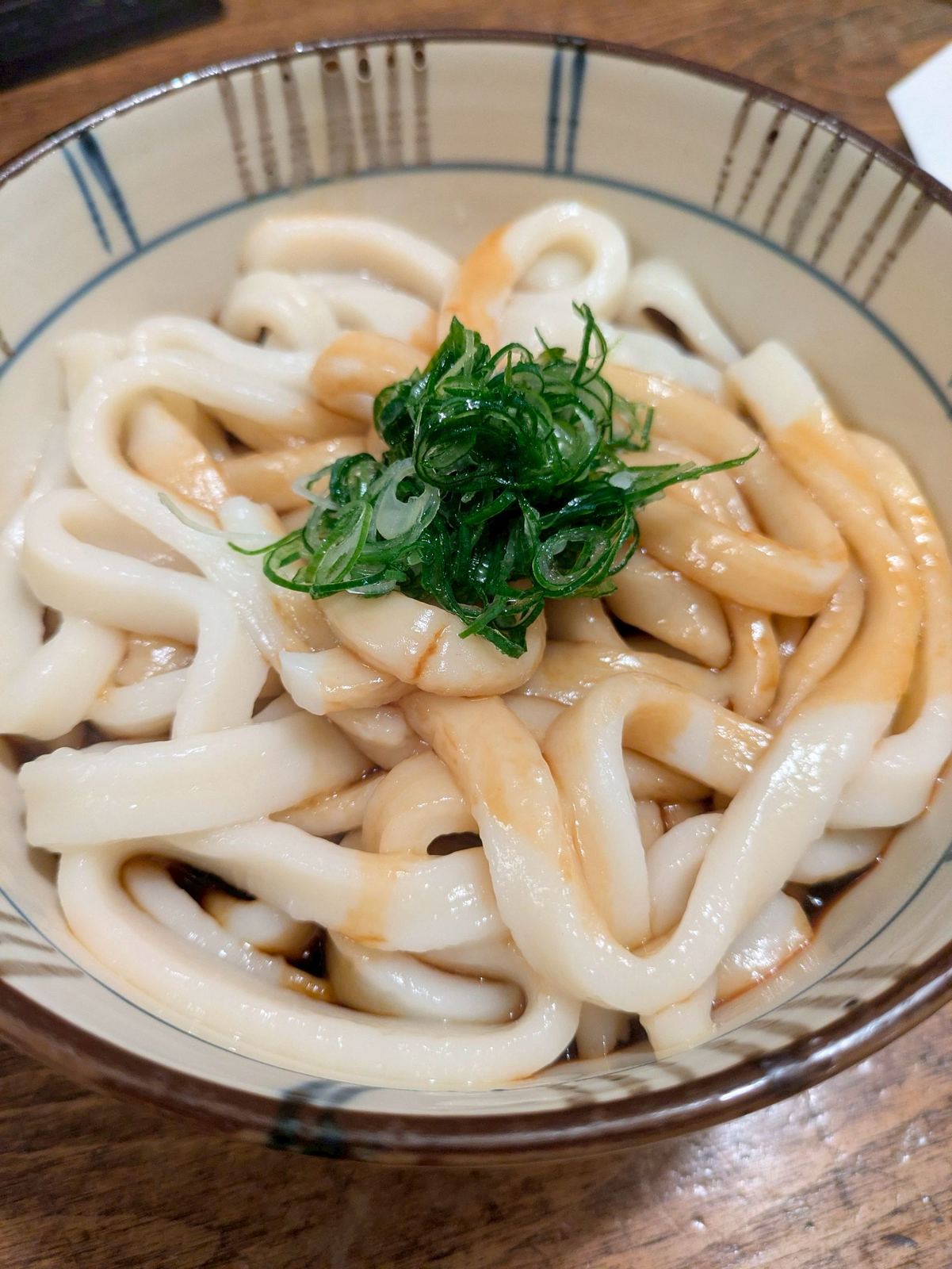 A bowl of Ise udon — thick noodles in a rich soy broth