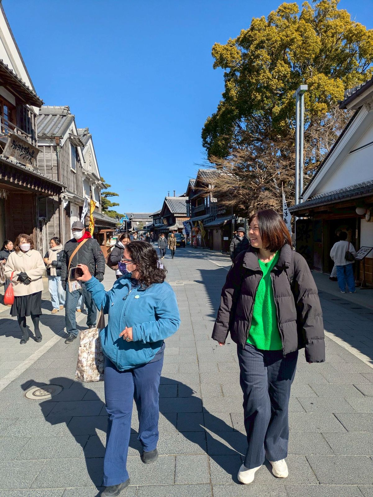 Ise Jingu shrine buildings from another angle