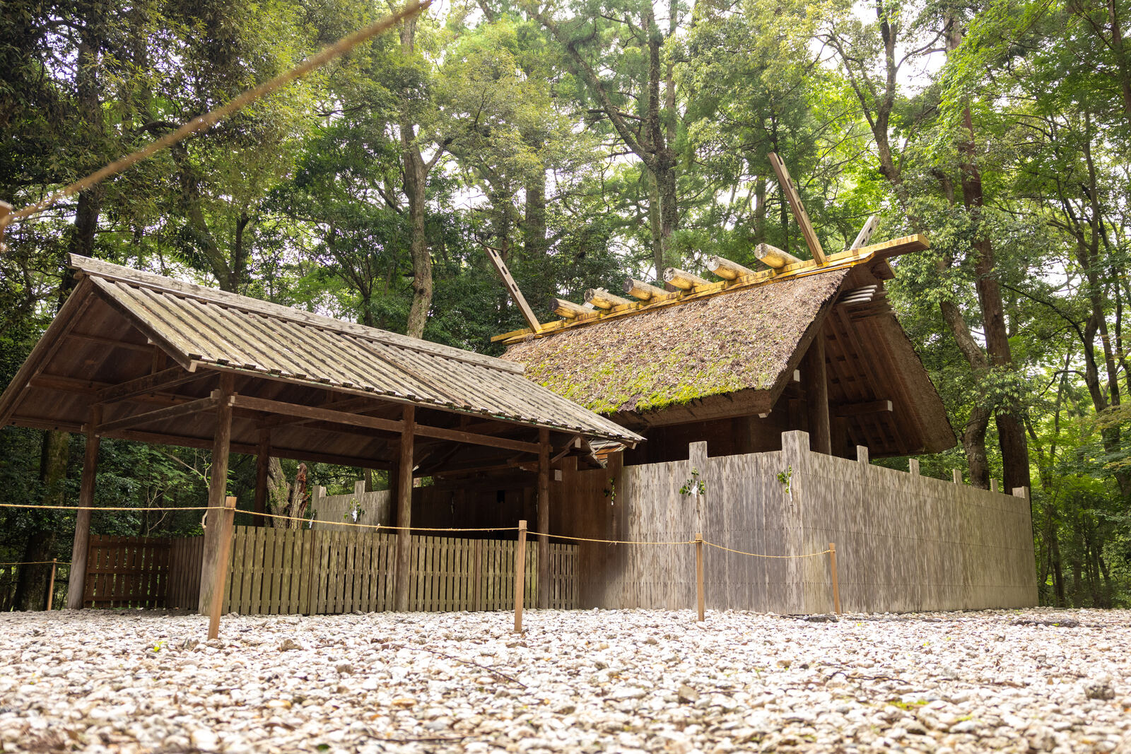 A moss-roofed shrine building among the trees