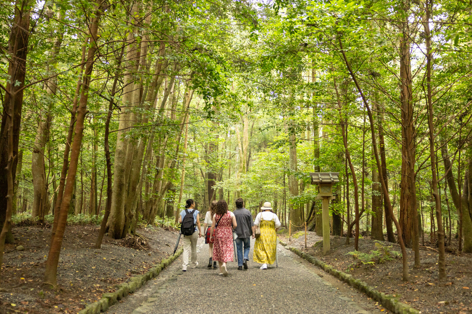 The forested approach to Ise Jingu's Inner Shrine