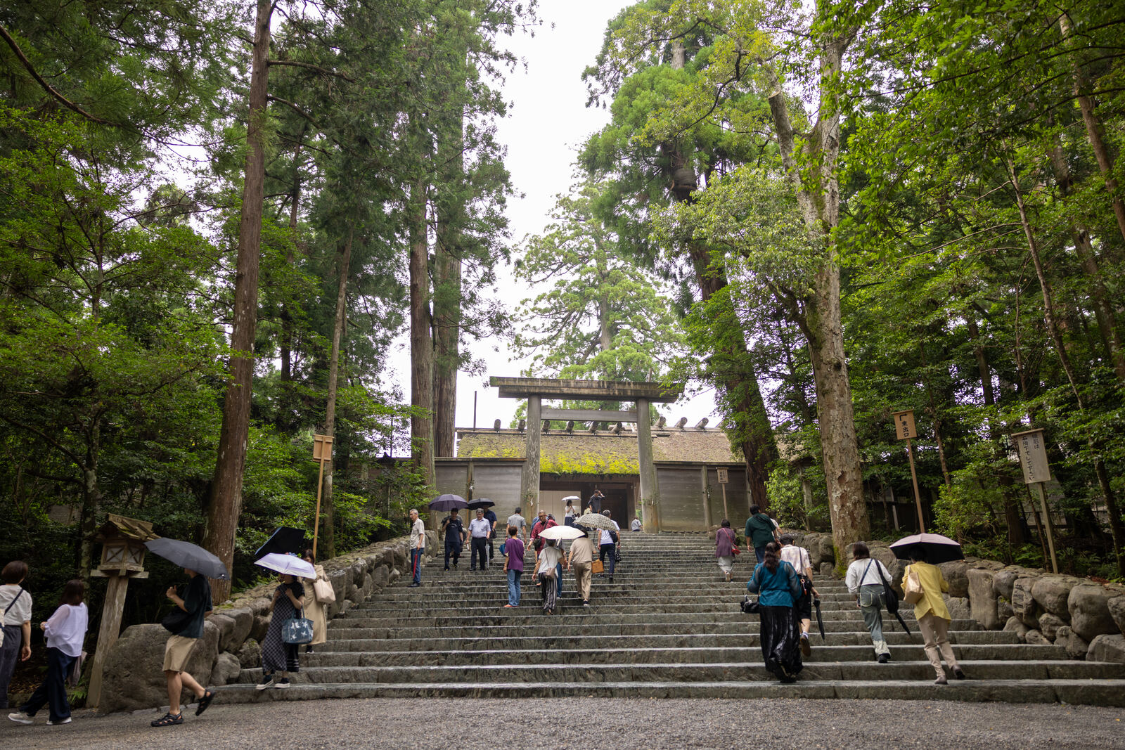 Stone steps leading up through the forest toward the inner shrine