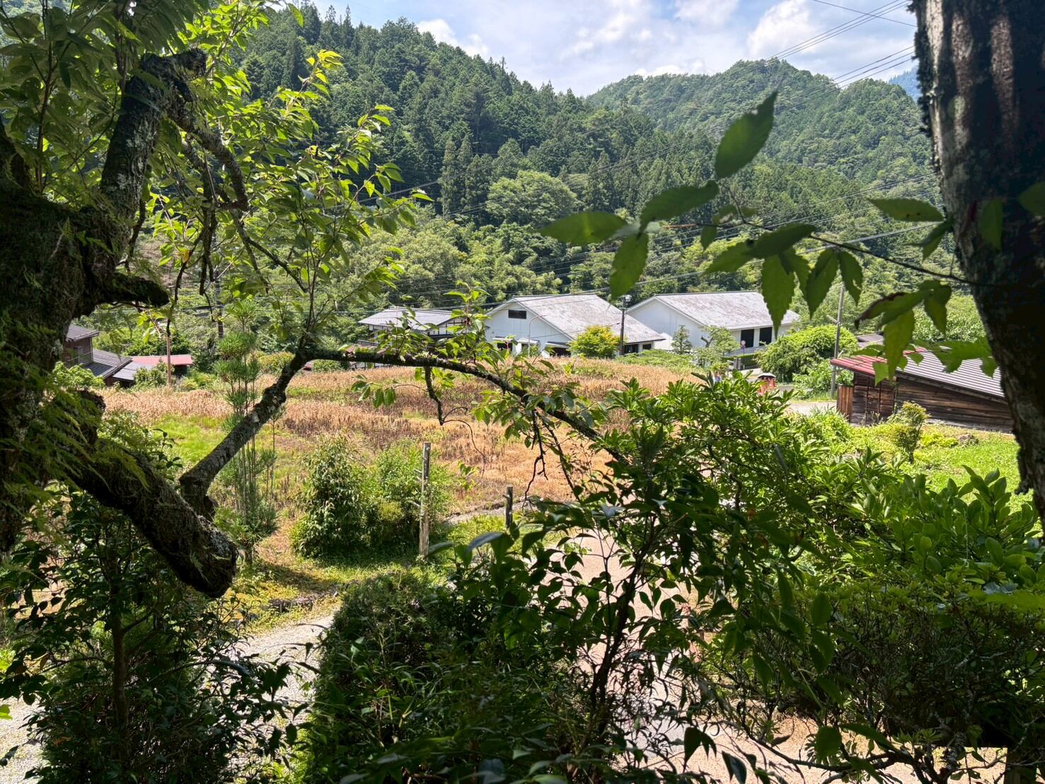 A view over the valley and rice fields from the trail